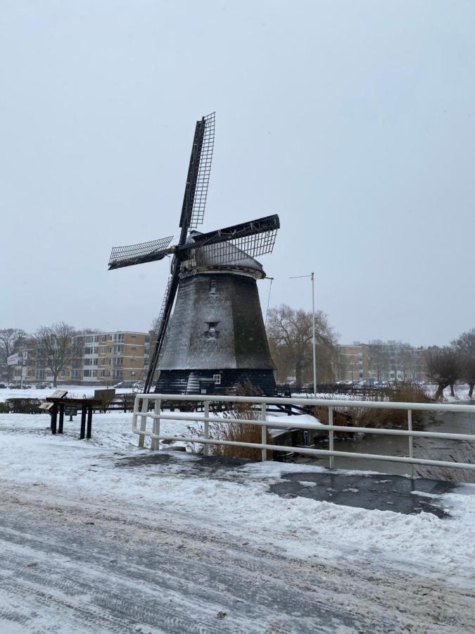 Villa Casa De Palmas - Tiny House Alkmaar Esterno foto